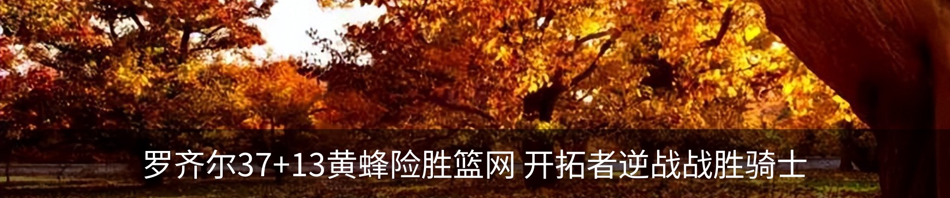 新闻中心